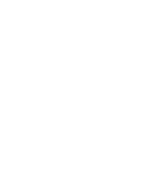 لوگو سفید