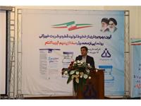 خط تولید جدید دانا