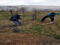 مراسم بزرگداشت هفته منابع طبیعی و روز درختکاری