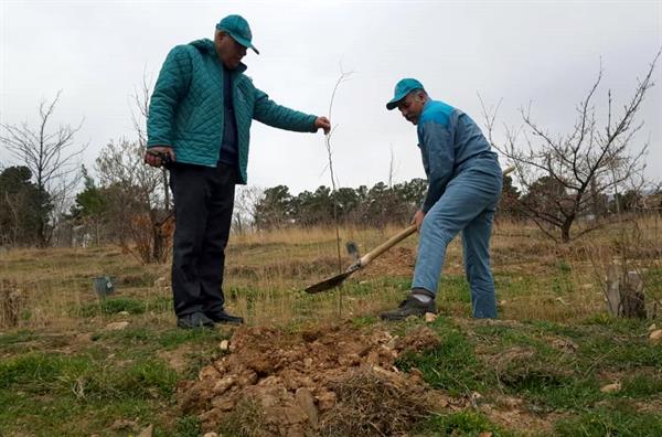 مراسم بزرگداشت هفته منابع طبیعی و روز درختکاری
