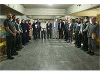 امحاء ضایعات