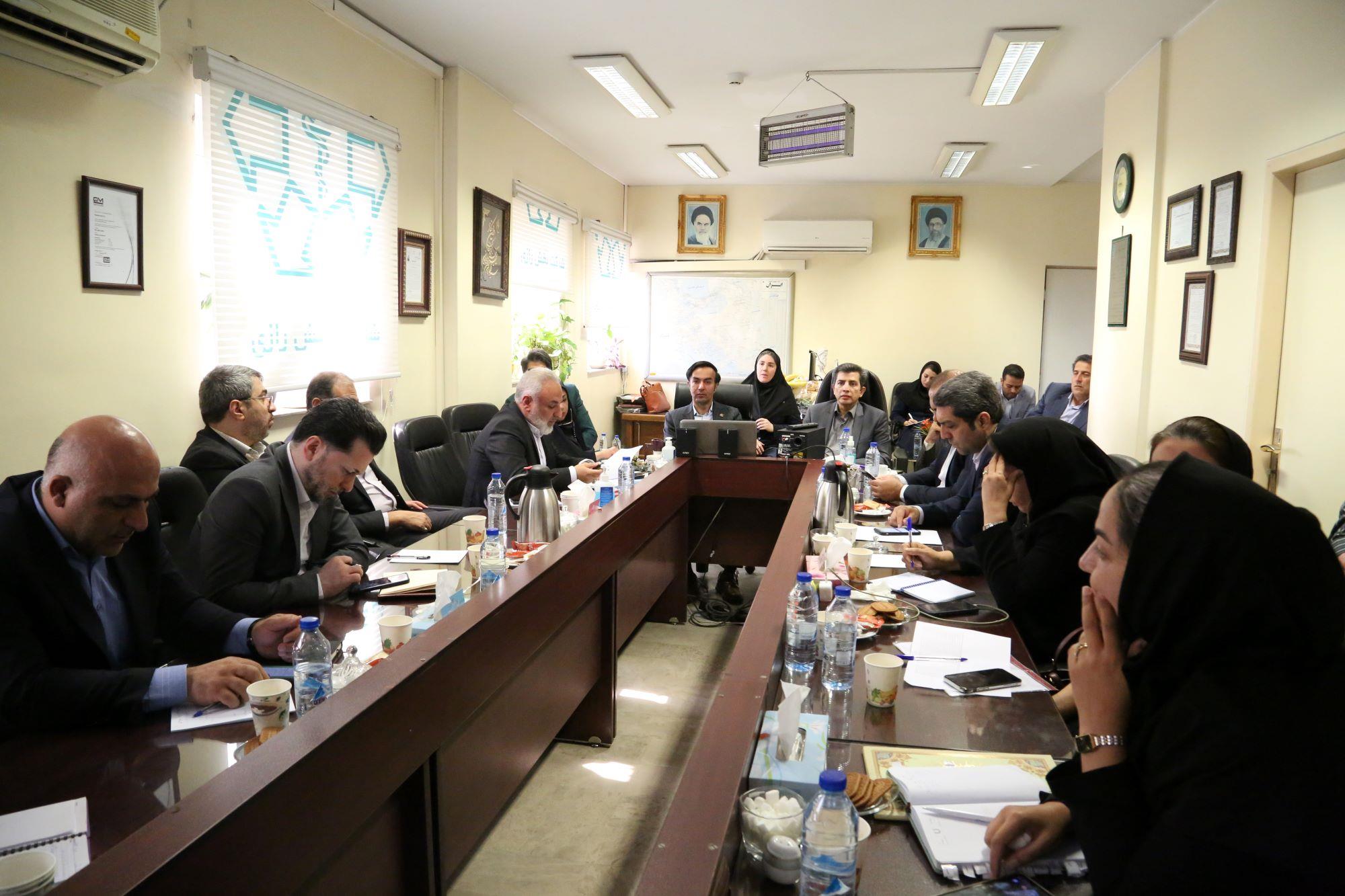 نشست کمیته بازاریابی و فروش شرکت سرمایه گذاری شفادارو