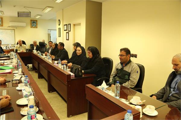 امحاء ضایعات