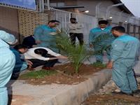 مراسم بزرگداشت هفته منابع طبیعی و روز درختکاری