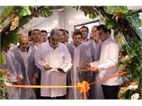 خط تولید جدید دانا