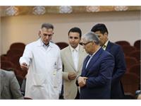 خط تولید جدید دانا