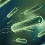 امکان تشخیص و اندازه گیری دو نمونه از گونه های حیاتی در نمونه های زیستی