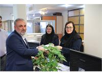 روز حسابدار