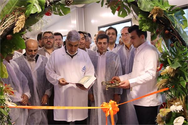 خط تولید جدید دانا