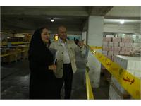 امحاء ضایعات