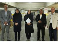 امحاء ضایعات