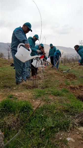 مراسم بزرگداشت هفته منابع طبیعی و روز درختکاری