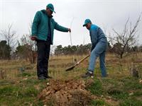 مراسم بزرگداشت هفته منابع طبیعی و روز درختکاری